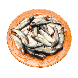 দেশি টেংরা