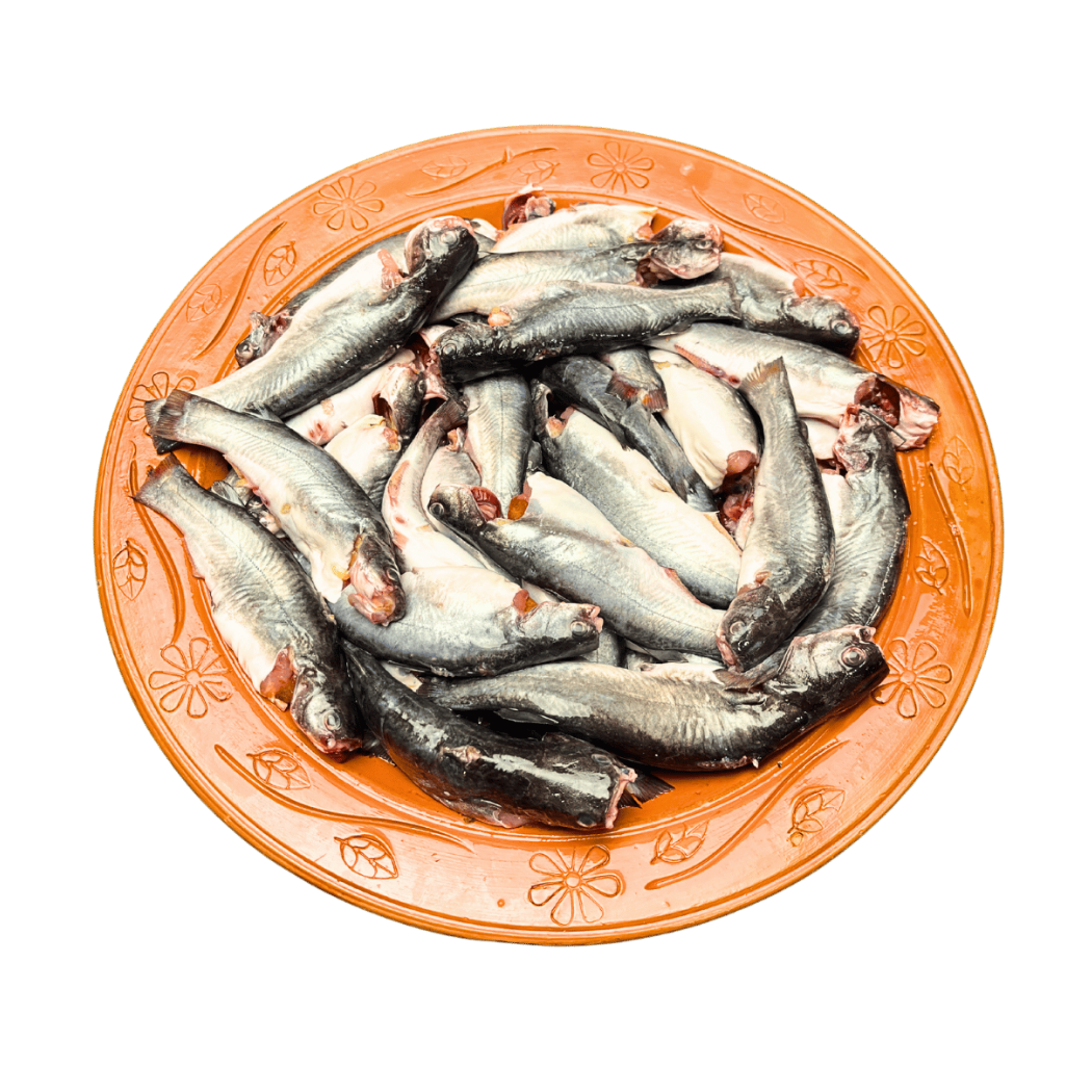 দেশি টেংরা