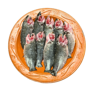 দেশি কই মাছ