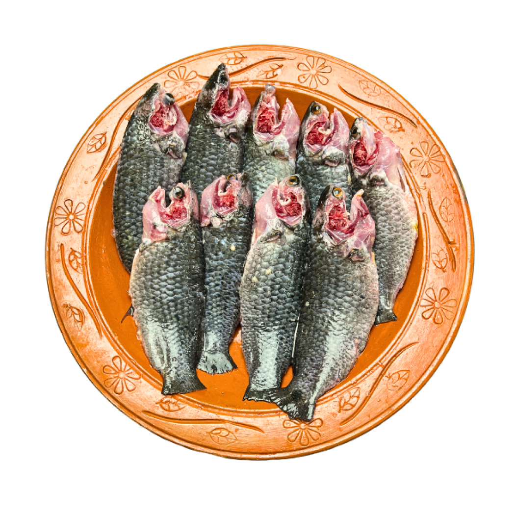 দেশি কই মাছ