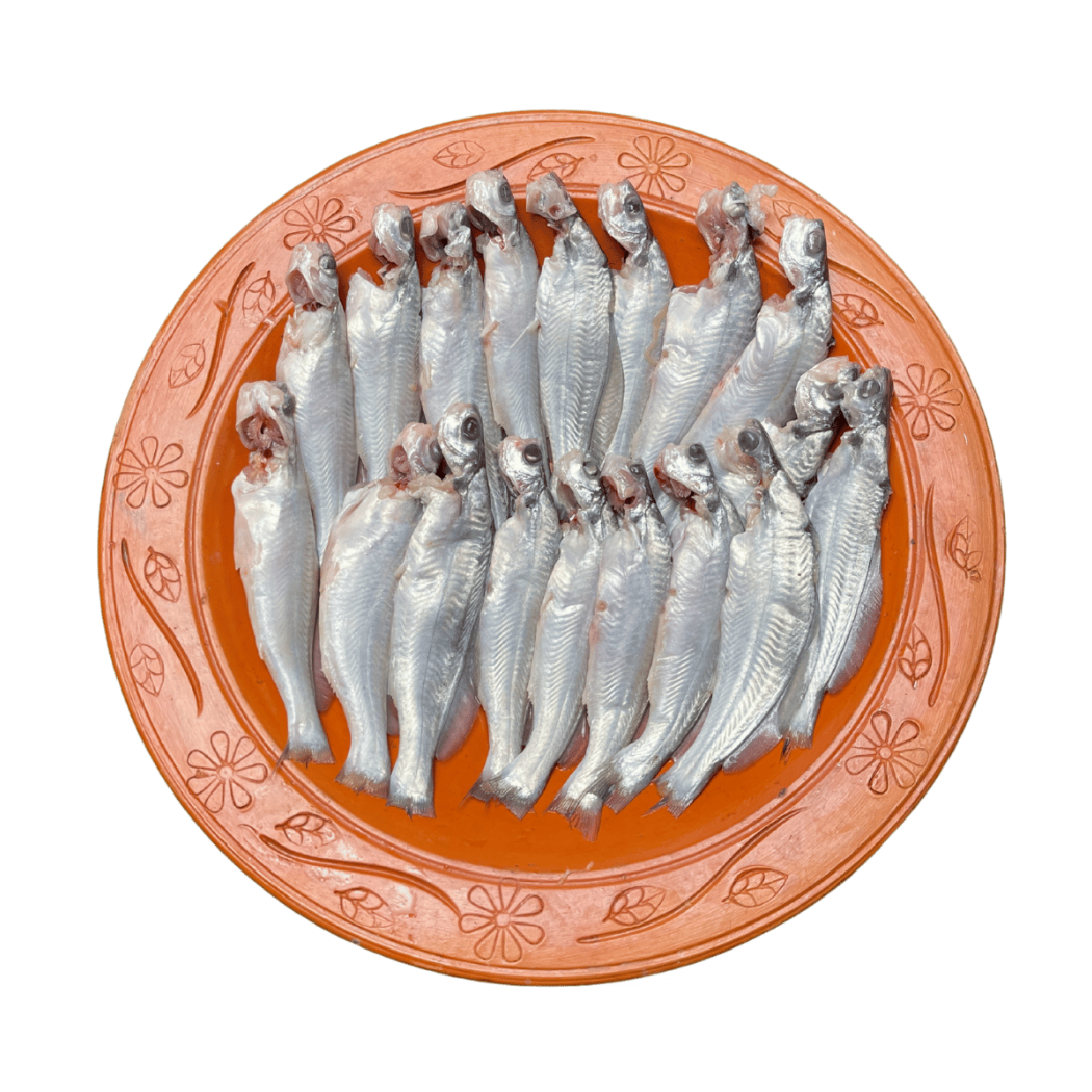 গুলসা টেংরা