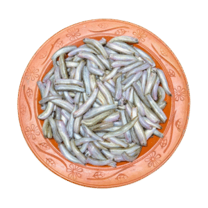 দেশি গুতুম মাছ