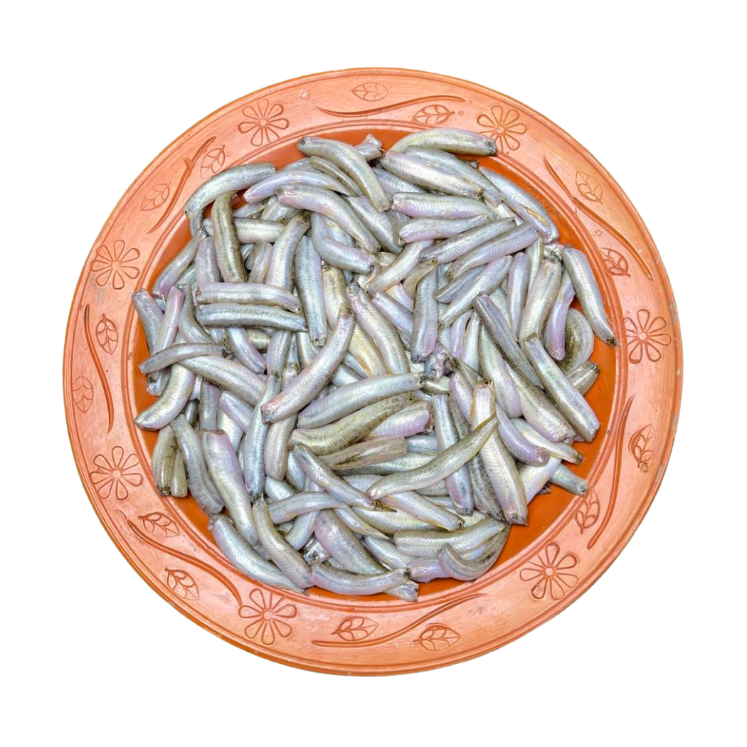 দেশি গুতুম মাছ