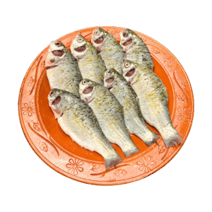 দেশি স্বর পুঁটি