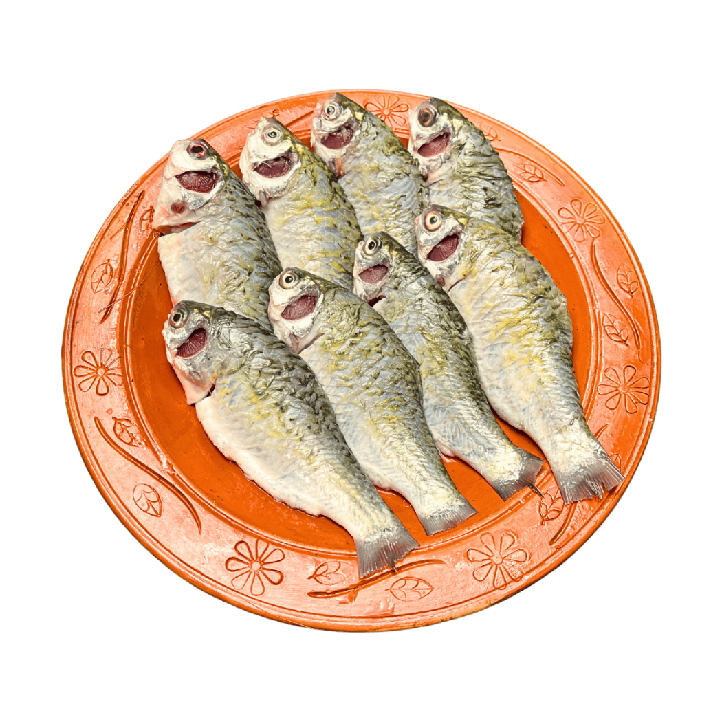 দেশি স্বর পুঁটি