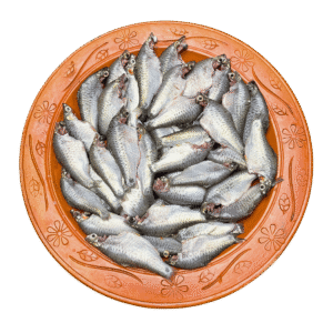 দেশি পুঁটি মাছ (বড় সাইজ)