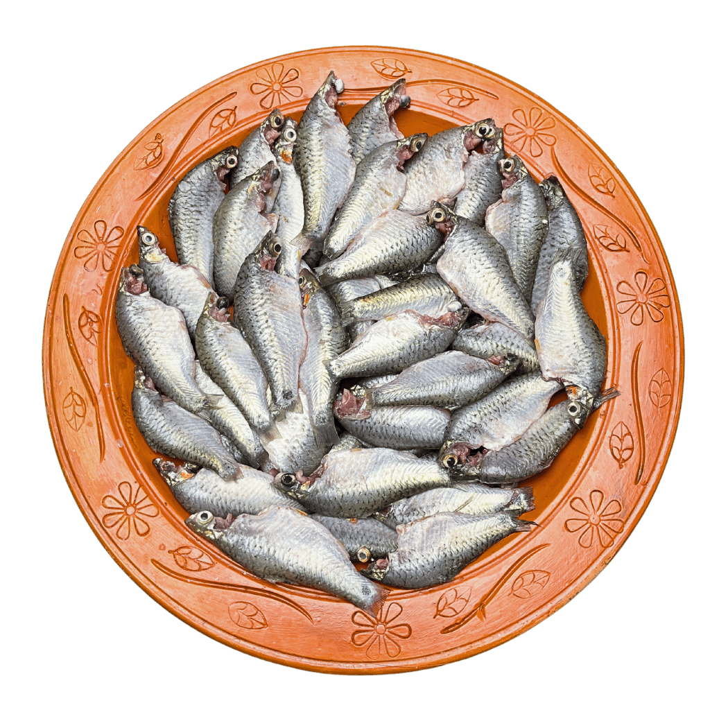 দেশি পুঁটি মাছ (বড় সাইজ)