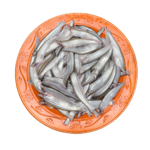 নদীর কাজলি মাছ