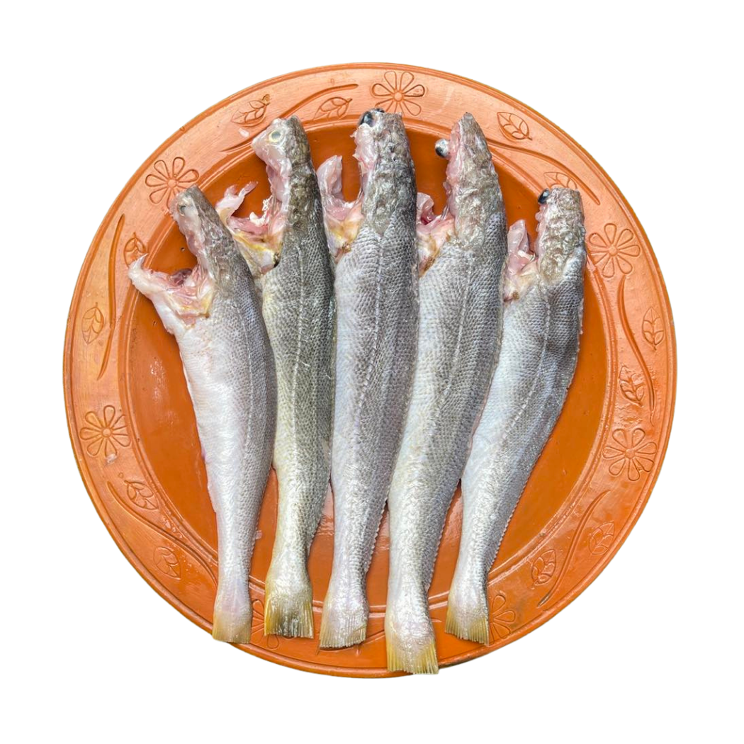 পোয়া মাছ