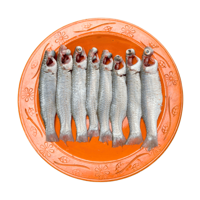 পারসে মাছ