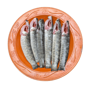 দেশি টাকি মাছ