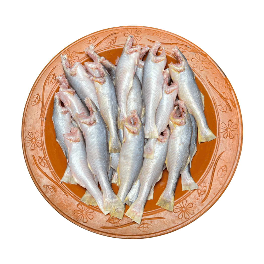 তোপসে মাছ