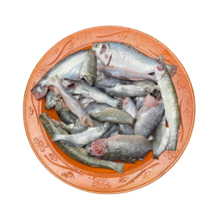 পাচ মিশালি মাছ