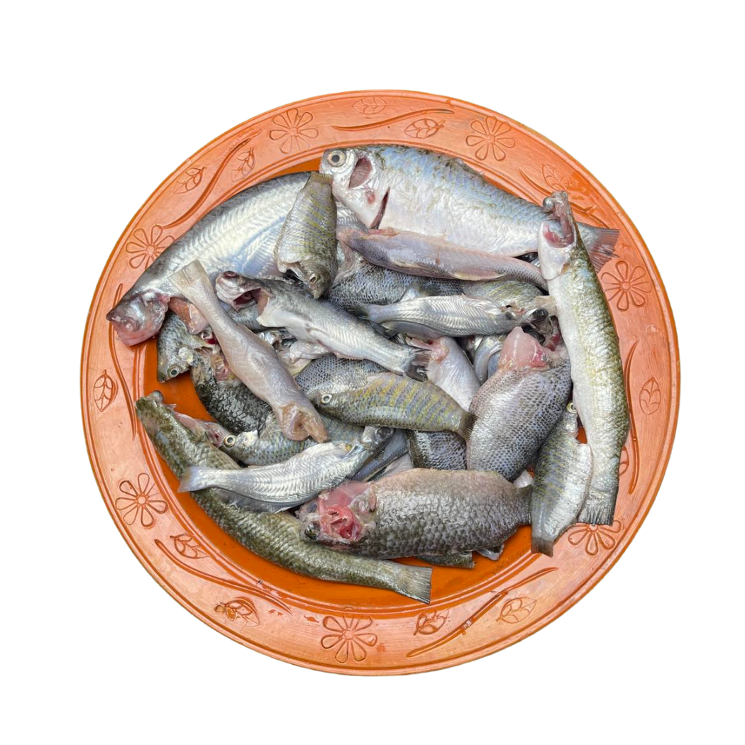 পাচ মিশালি মাছ