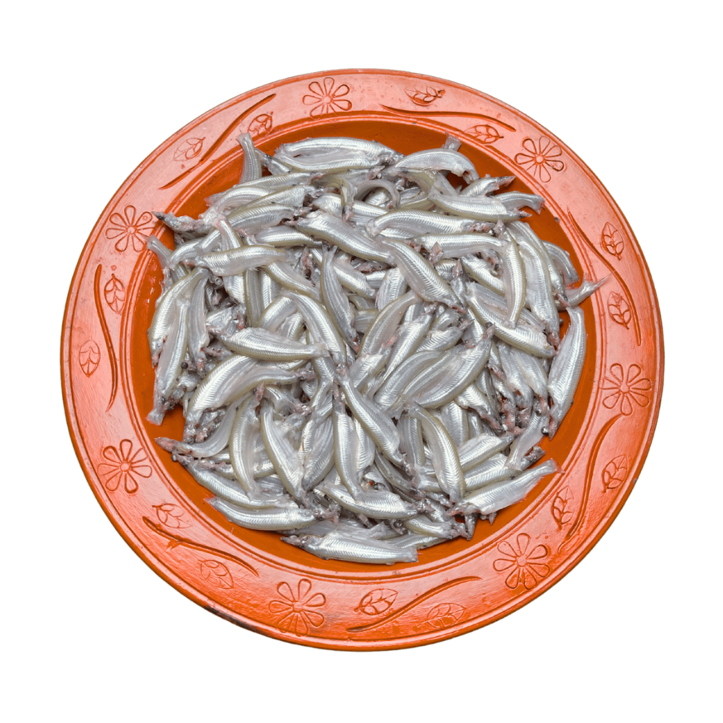 বাতাসি মাছ