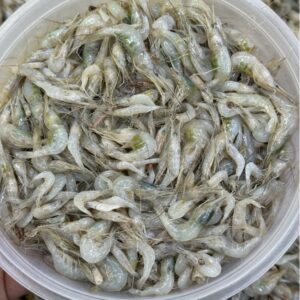 সবজি চিংড়ি মিক্সড সাইজ